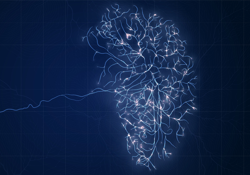прокрастинация на уровне нейронов