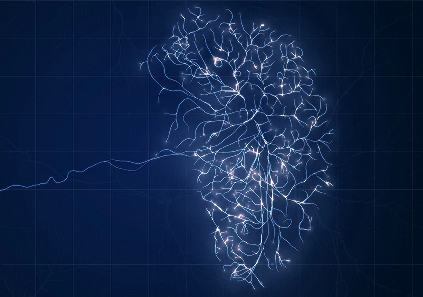 Procrastination at the neural level