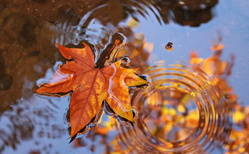 Living in accord with nature